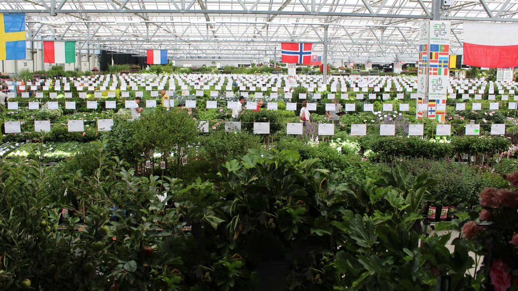 Green-Direkt Boskoop Garten Pflanzen Messe Hintergrund