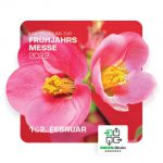 Die Frühjahrsmesse findet am 1. und 2. Februar 2022 statt.