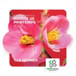 La Bourse-Expo de Printemps aura lieu les 1er et 2 février 2022.