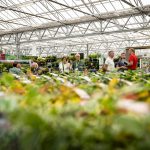 PLANTARIUM|GROEN-Direkt