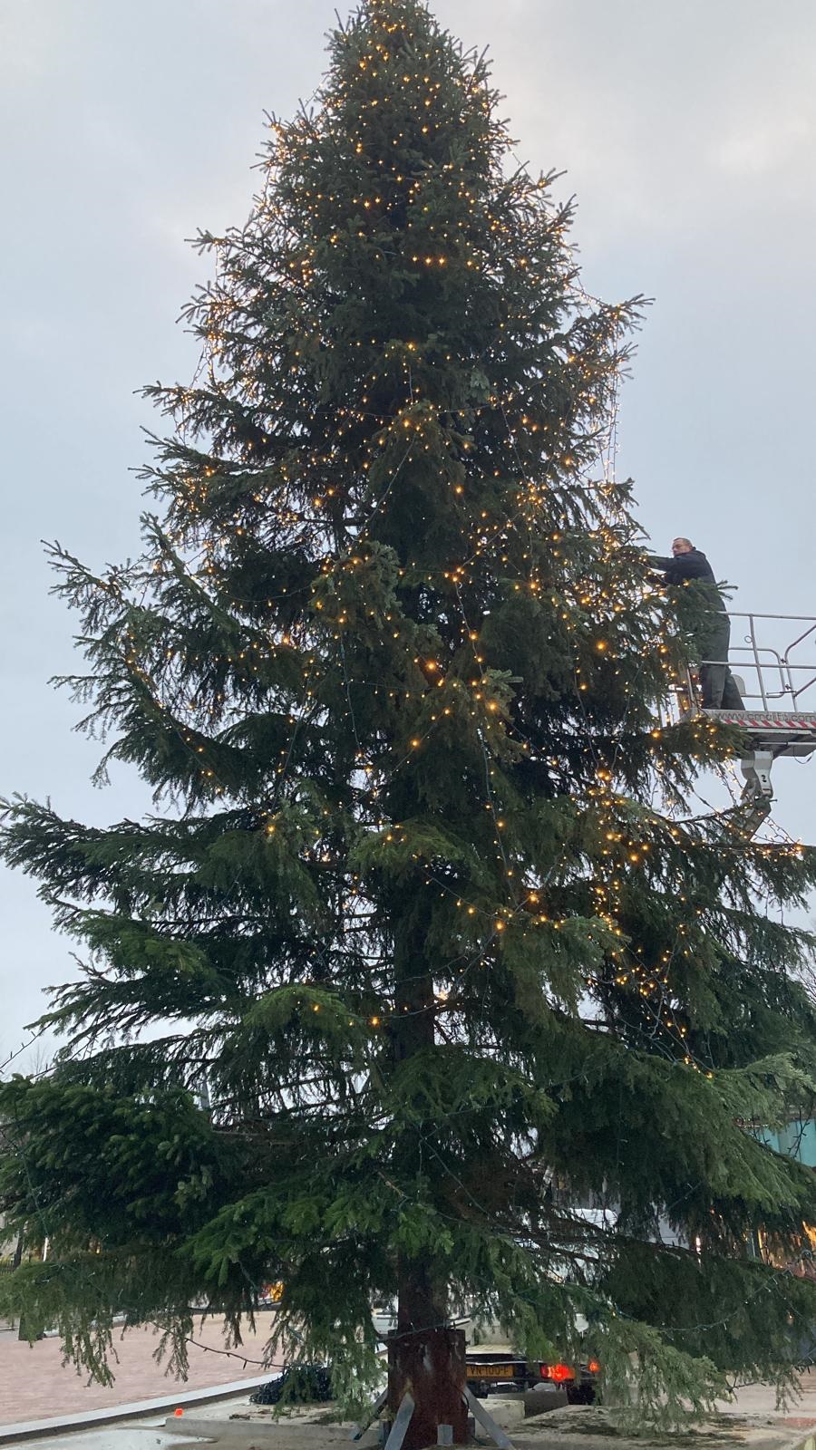 Bouteille vide forme Arbre de Noël 500 ml à Obernai