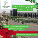 Kerstbomen Cash & Carry geopend