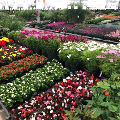 GROEN-Direkt Assortiment Header Image (4) GROEN-Direkt Assortiment Header Image (4)