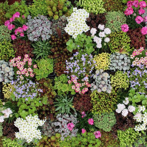 GROEN-Direkt-Assortiment-Header-Image-(7) GROEN-Direkt-Assortiment-Header-Image-(7)