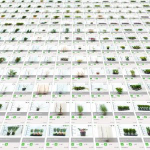 GROEN-Direkt Webshop Web shop Beursaanbod GROEN-Direkt Webshop Web shop Beursaanbod