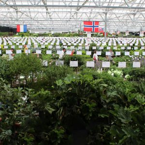 Groen-Direkt Boskoop Garden plants trade fair background