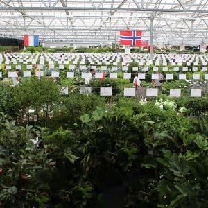 Green-Direkt Boskoop Garten Pflanzen Messe Hintergrund