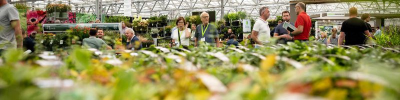Plantarium-Groen-Direkt-Tuinplanten-beurs-boskoop–(4) Plantarium-Groen-Direkt-Tuinplanten-beurs-boskoop--(4)